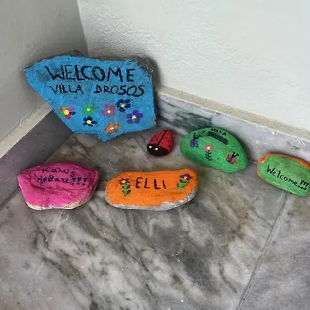 Hotel Drosos