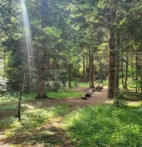 Olympus Drosos Hotel