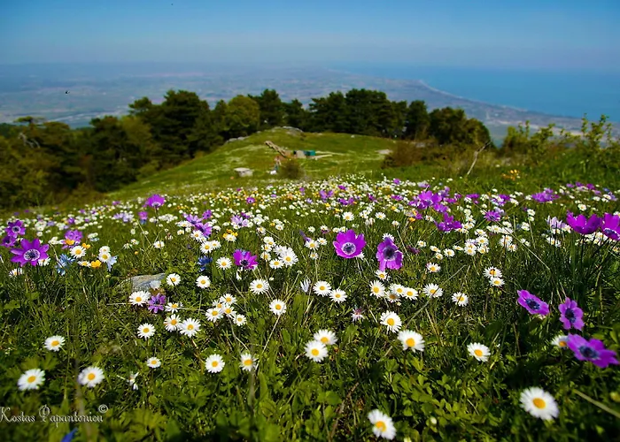 Hotel Olympus Drosos 2*