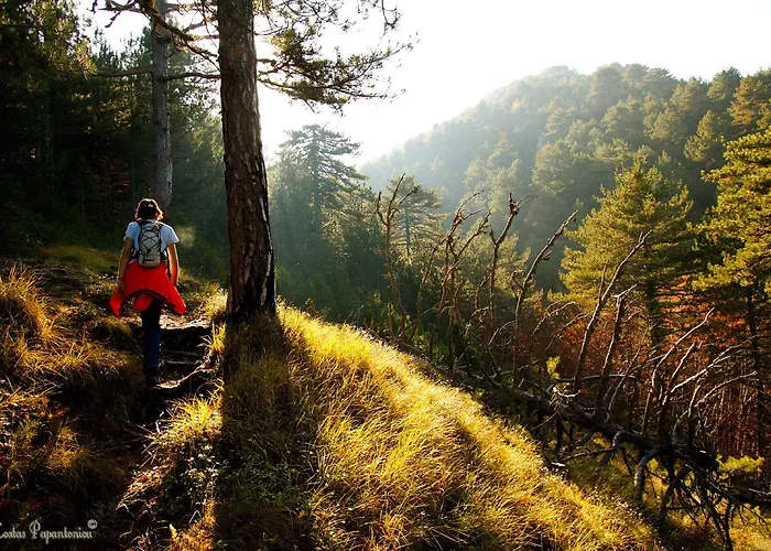 Hotel Olympus Drosos