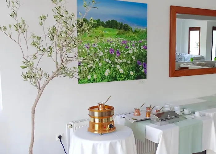 Olympus Drosos Hotel