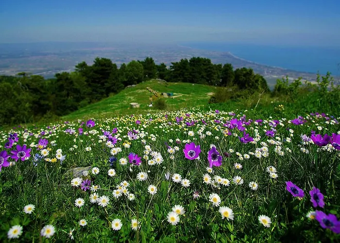 Olympus Drosos 2* Litochoro