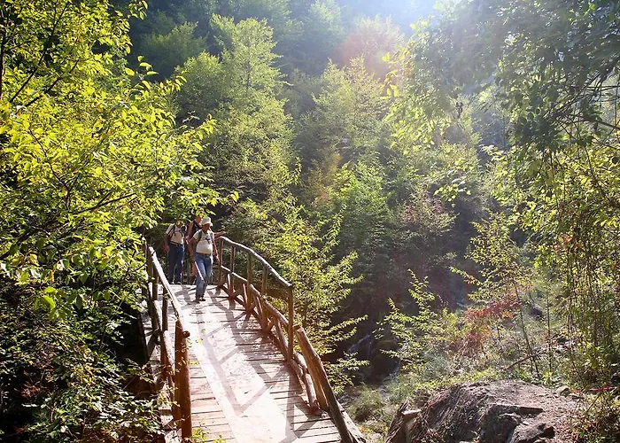 Olympus Drosos Hotel 2*