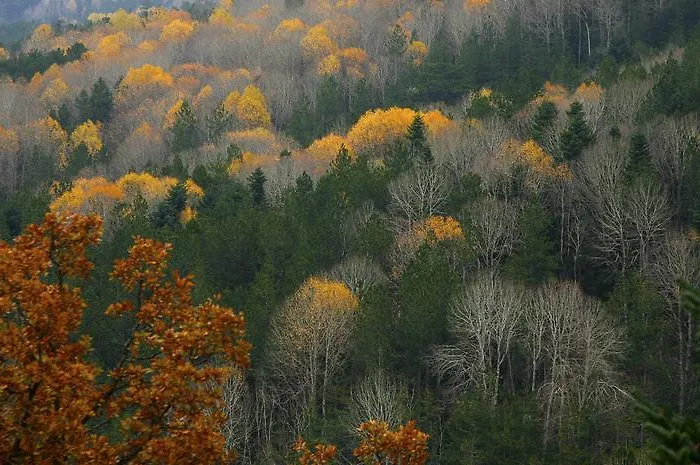 Olympus Drosos Hotel 2*