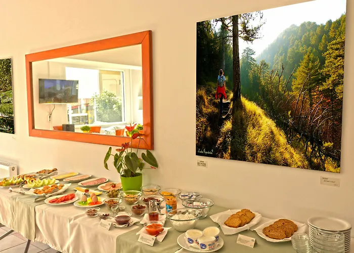 Olympus Drosos Hotel Litochoro