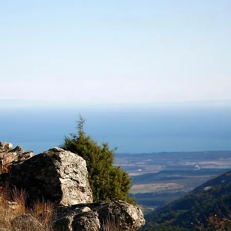 Olympus Drosos