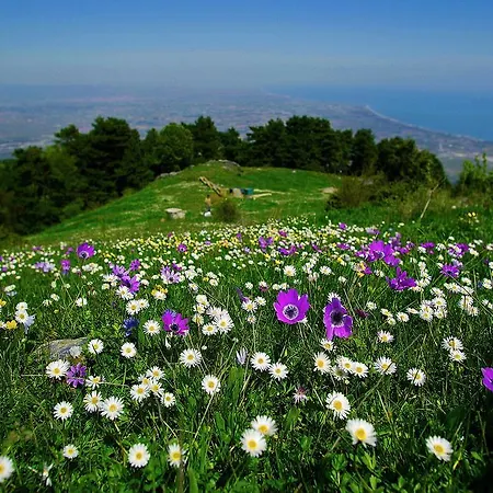 Drosos 2* 里托楚伦