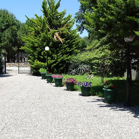 Hotel Drosos 2*