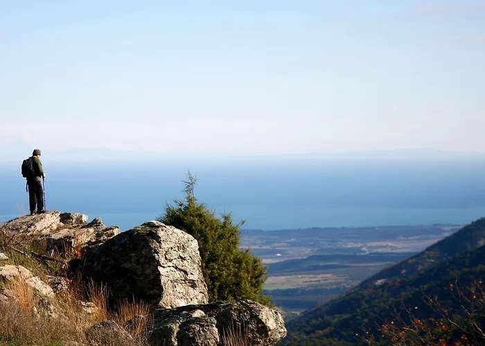 Olympus Drosos