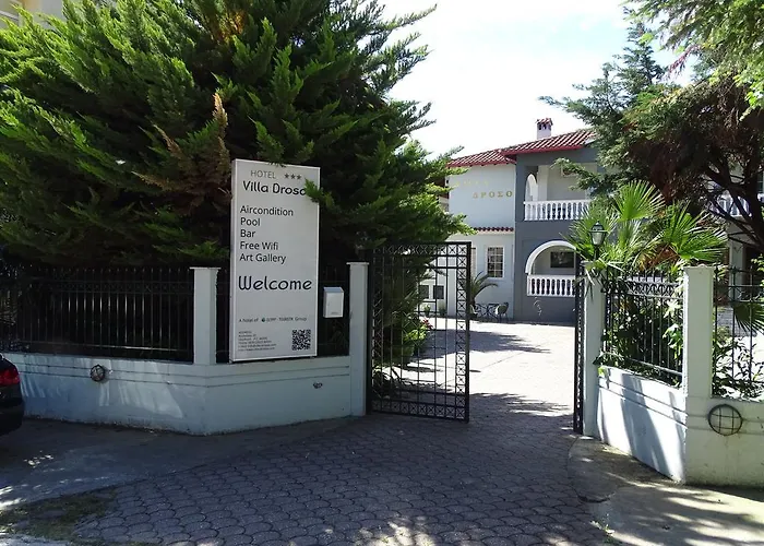 Olympus Drosos